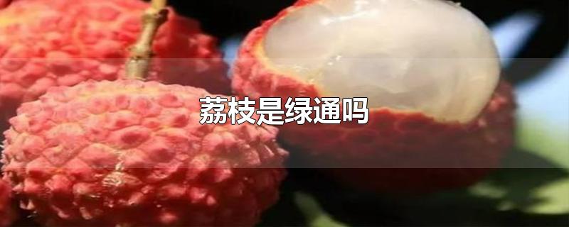 荔枝是绿通吗-最新荔枝是绿通吗整理解答