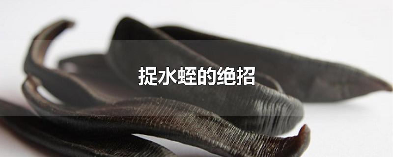 捉水蛭的绝招-最新捉水蛭的绝招整理解答