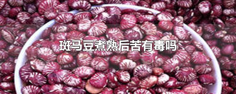 斑马豆煮熟后苦有毒吗-最新斑马豆煮熟后苦有毒吗整理解答