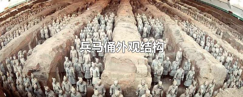 兵马俑外观结构-最新兵马俑外观结构整理解答