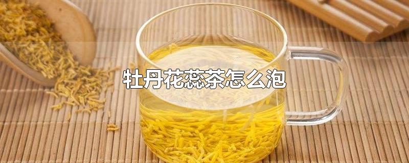 牡丹花蕊茶怎么泡