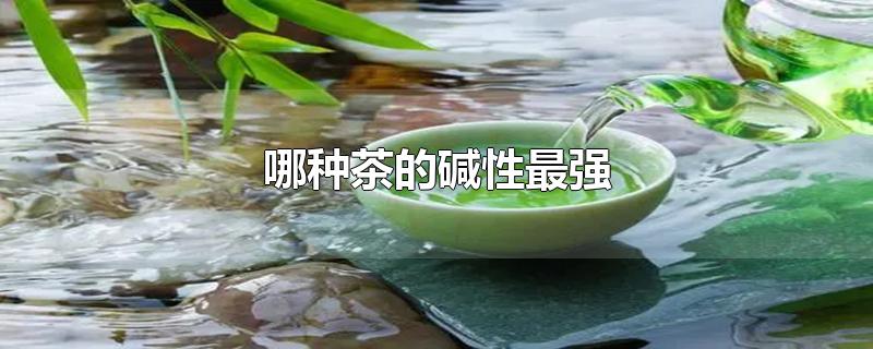 哪种茶的碱性最强-最新哪种茶的碱性最强整理解答