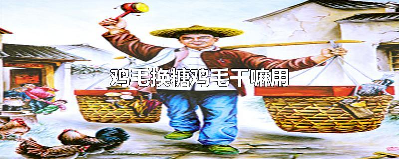 鸡毛换糖鸡毛干嘛用