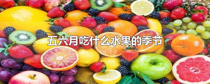 五六月吃什么水果的季节