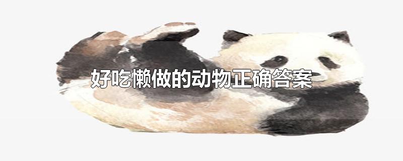 好吃懒做的动物正确答案-最新好吃懒做的动物正确答案整理解答