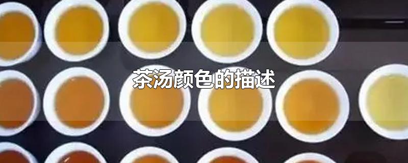 茶汤颜色的描述-最新茶汤颜色的描述整理解答