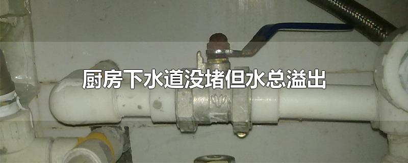 厨房下水道没堵但水总溢出-最新厨房下水道没堵但水总溢出整理解答