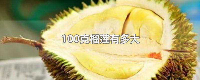 100克榴莲有多大-最新100克榴莲有多大整理解答