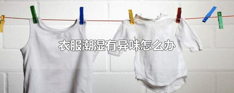 衣服潮湿有异味怎么办