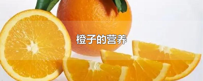 橙子的营养