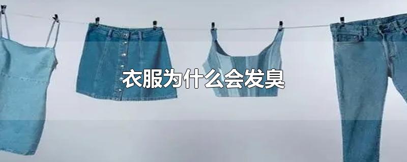 衣服为什么会发臭-最新衣服为什么会发臭整理解答