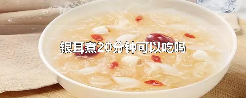 银耳煮20分钟可以吃吗