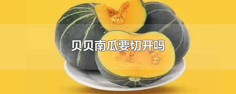 贝贝南瓜要切开吗