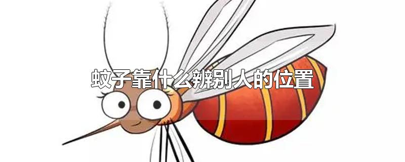 蚊子靠什么辨别人的位置