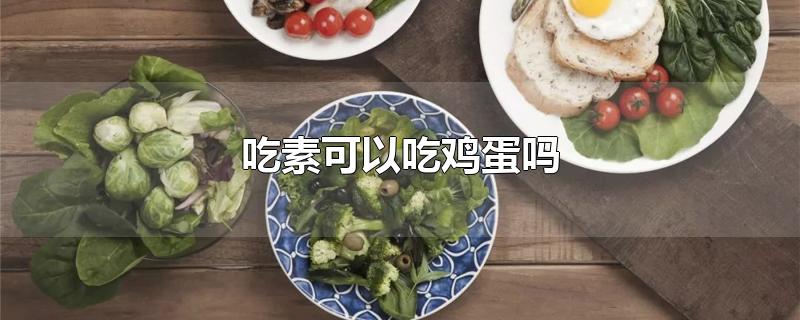 吃素可以吃鸡蛋吗-最新吃素可以吃鸡蛋吗整理解答