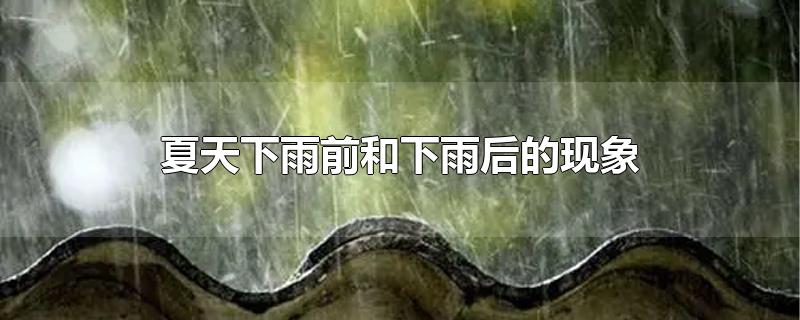 夏天下雨前和下雨后的现象-最新夏天下雨前和下雨后的现象整理解答