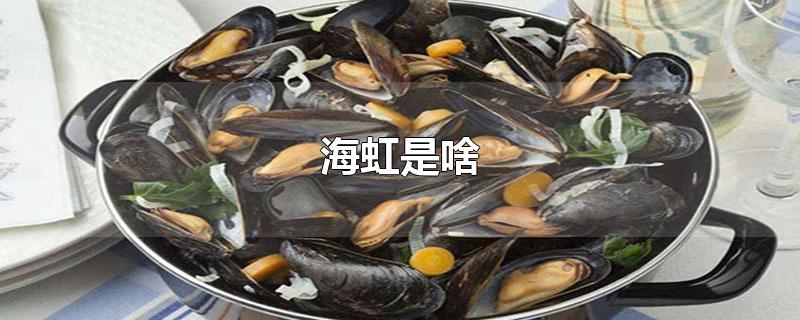 海虹是啥