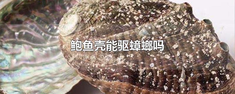 鲍鱼壳能驱蟑螂吗-最新鲍鱼壳能驱蟑螂吗整理解答