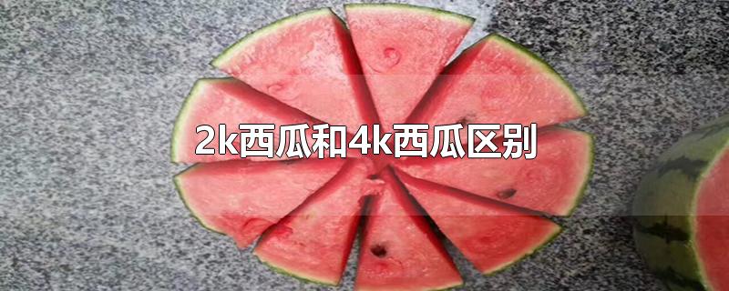 2k西瓜和4k西瓜区别-最新2k西瓜和4k西瓜区别整理解答