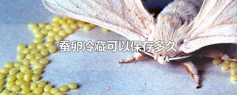 蚕卵冷藏可以保存多久-最新蚕卵冷藏可以保存多久整理解答