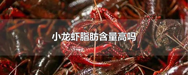 小龙虾脂肪含量高吗