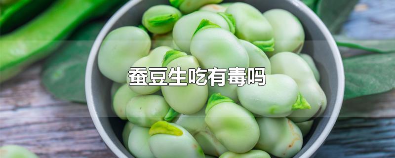 蚕豆生吃有毒吗-最新蚕豆生吃有毒吗整理解答