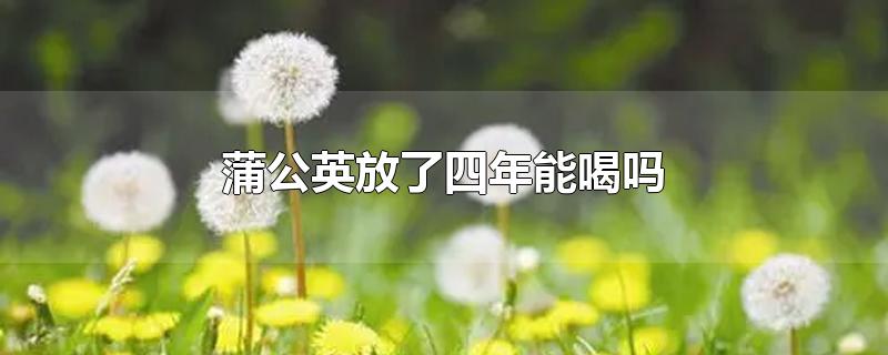 蒲公英放了四年能喝吗