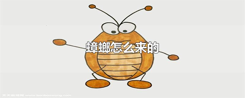 蟑螂怎么来的-最新蟑螂怎么来的整理解答