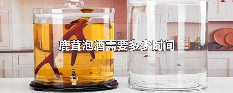 鹿茸泡酒需要多少时间-最新鹿茸泡酒需要多少时间整理解答