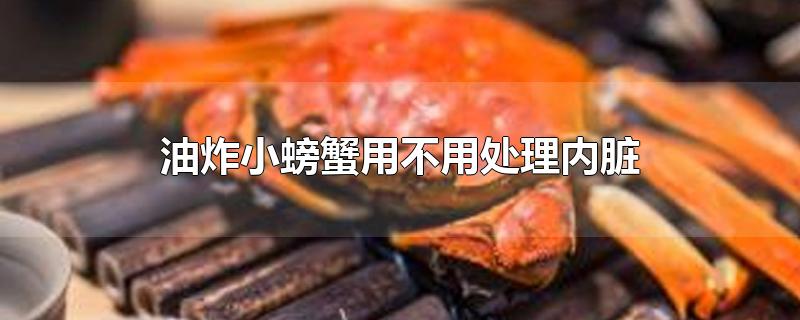 油炸小螃蟹用不用处理内脏-最新油炸小螃蟹用不用处理内脏整理解答