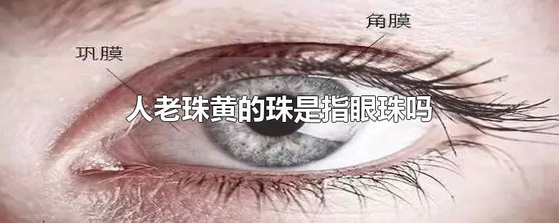 人老珠黄的珠是指眼珠吗