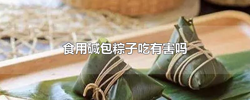 食用碱包粽子吃有害吗-最新食用碱包粽子吃有害吗整理解答