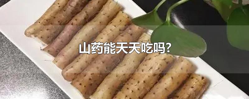 山药能天天吃吗?