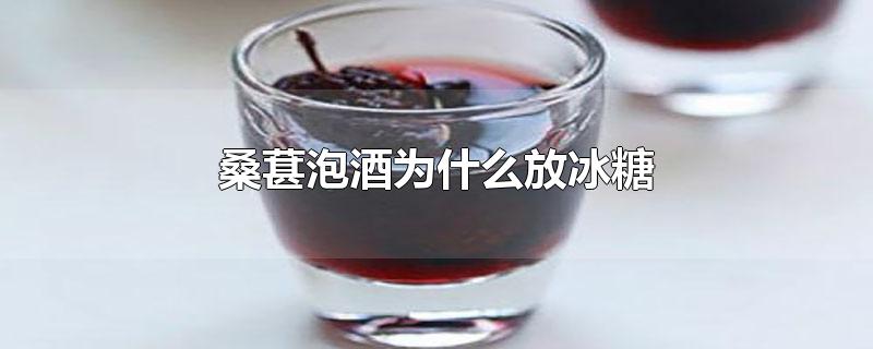 桑葚泡酒为什么放冰糖-最新桑葚泡酒为什么放冰糖整理解答