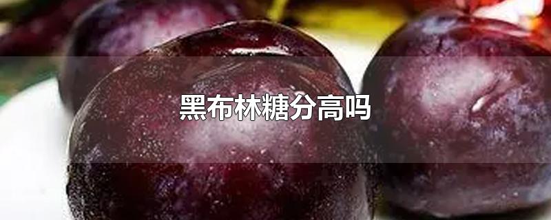 黑布林糖分高吗-最新黑布林糖分高吗整理解答