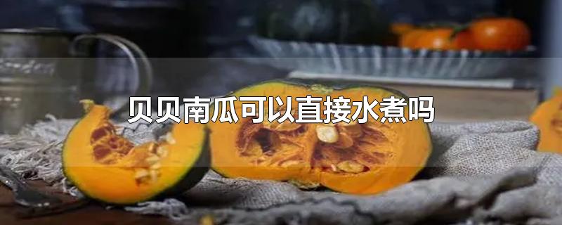 贝贝南瓜可以直接水煮吗-最新贝贝南瓜可以直接水煮吗整理解答