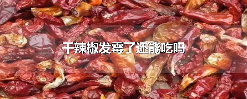 干辣椒发霉了还能吃吗-最新干辣椒发霉了还能吃吗整理解答