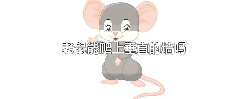 老鼠能爬上垂直的墙吗-最新老鼠能爬上垂直的墙吗整理解答