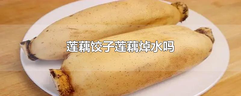 莲藕饺子莲藕焯水吗