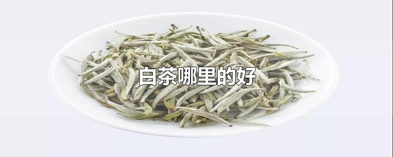 白茶哪里的好-最新白茶哪里的好整理解答