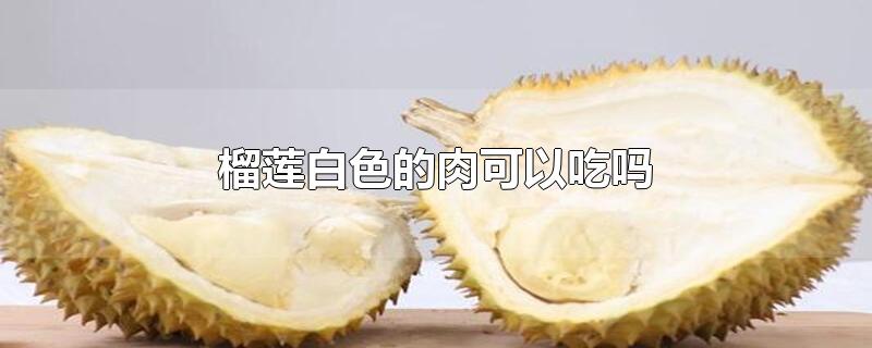 榴莲白色的肉可以吃吗-最新榴莲白色的肉可以吃吗整理解答