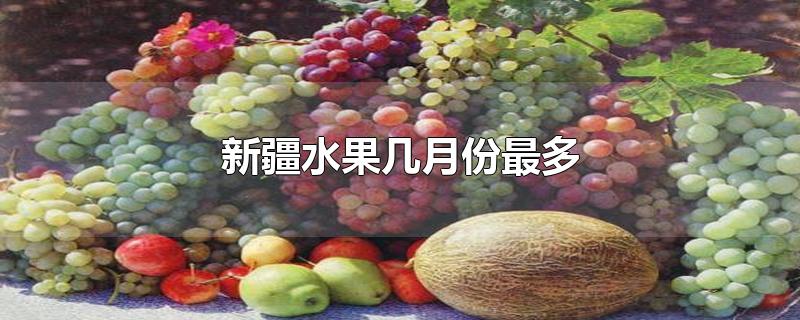 新疆水果几月份最多-最新新疆水果几月份最多整理解答