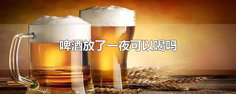 啤酒放了一夜可以喝吗-最新啤酒放了一夜可以喝吗整理解答