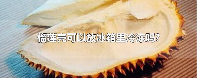 榴莲壳可以放冰箱里冷冻吗?-最新榴莲壳可以放冰箱里冷冻吗?整理解答