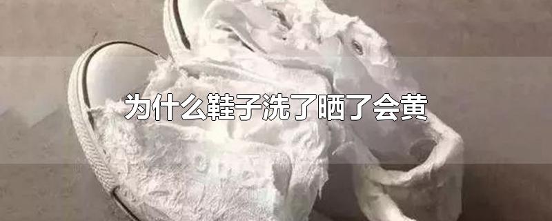 为什么鞋子洗了晒了会黄-最新为什么鞋子洗了晒了会黄整理解答