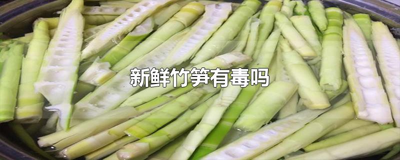 新鲜竹笋有毒吗-最新新鲜竹笋有毒吗整理解答