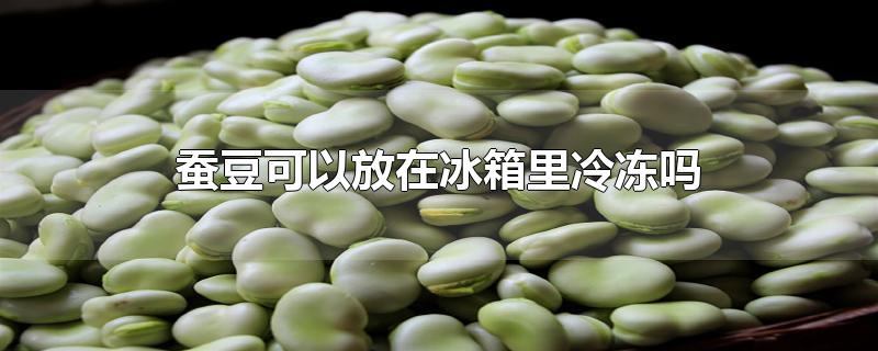 蚕豆可以放在冰箱里冷冻吗