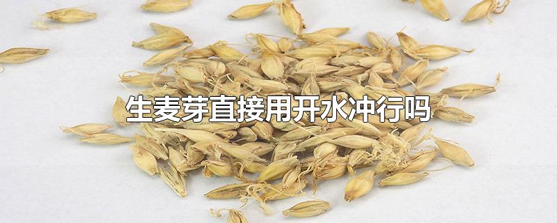 生麦芽直接用开水冲行吗-最新生麦芽直接用开水冲行吗整理解答