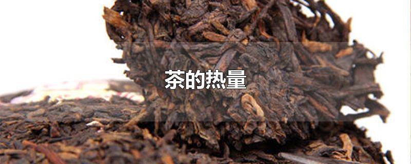 茶的热量