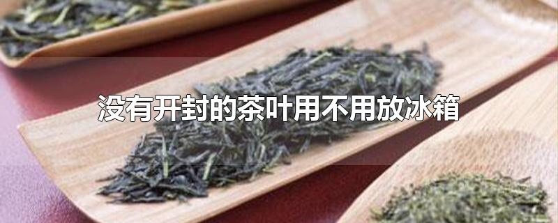 没有开封的茶叶用不用放冰箱-最新没有开封的茶叶用不用放冰箱整理解答